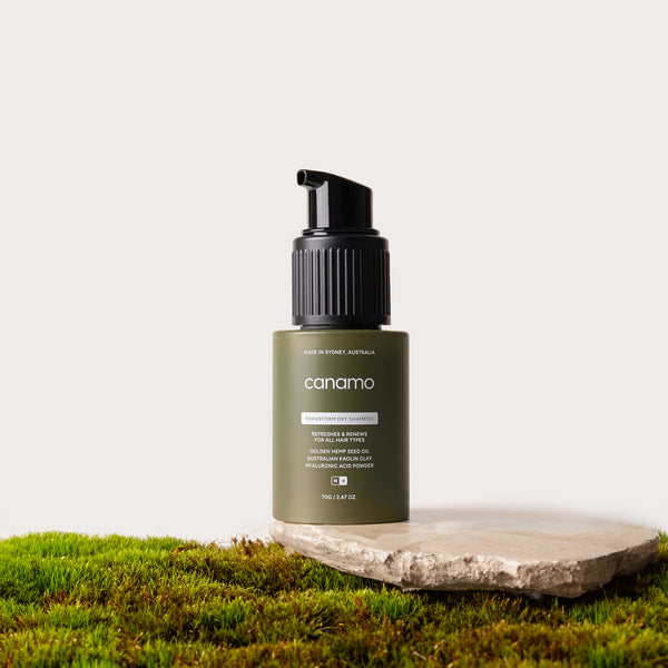 Transform Dry Shampoo
